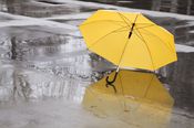 雨が降ったら傘を差し出す金融へ