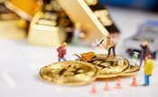 冒険的投機なくして成長なく一貫性なくして持続可能性なし